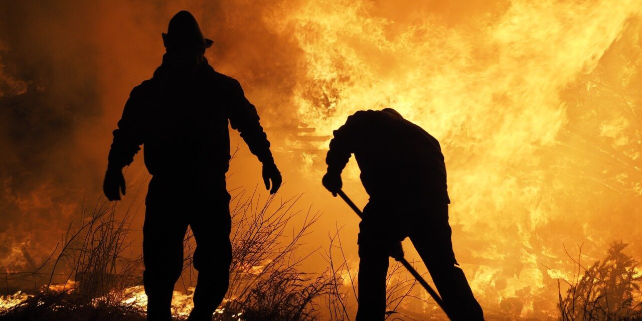 Météo France lance la « météo des forêts », nouvel outil de prévention des incendies.