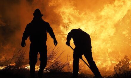 Météo France lance la « météo des forêts », nouvel outil de prévention des incendies.