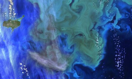 Animation satellite en météorologie : Une fenêtre invisible sur l’atmosphère
