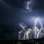 Pourquoi les chiens ont peur de l’orage ?