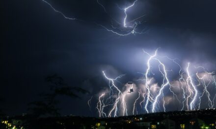 Pourquoi les chiens ont peur de l’orage ?