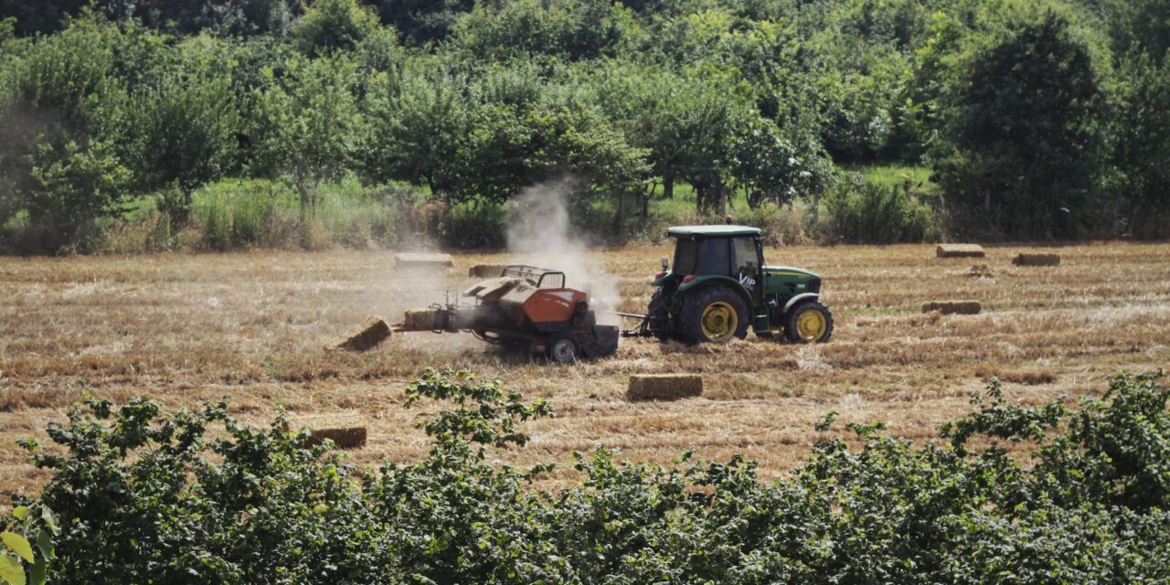 Quel est le meilleur climat pour l’agriculture ?