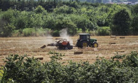 Quel est le meilleur climat pour l’agriculture ?
