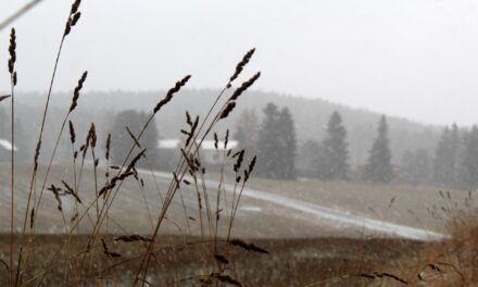 Comment les agriculteurs arrosent ?