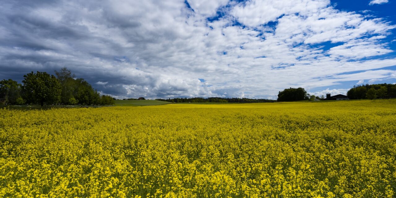 Quelle est la météo agricole la plus fiable ?