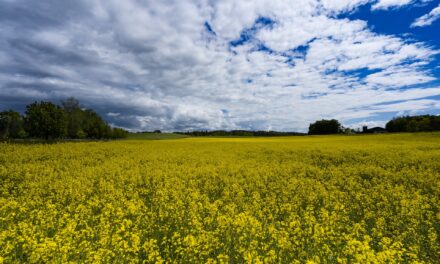 Quelle est la météo agricole la plus fiable ?