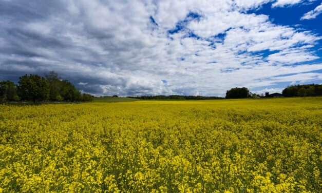 Quelle est la météo agricole la plus fiable ?