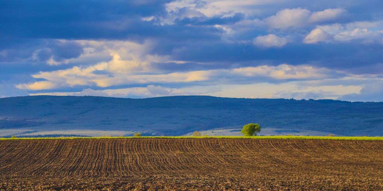 Quelle météo utilisent les agriculteurs ?
