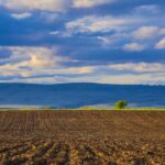 Quelle météo utilisent les agriculteurs ?