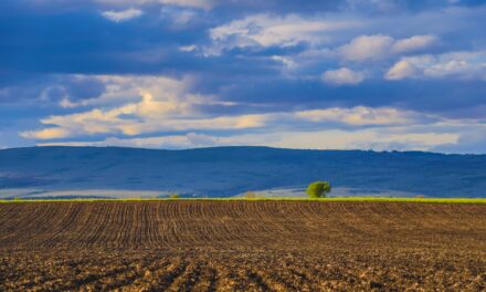 Quelle météo utilisent les agriculteurs ?