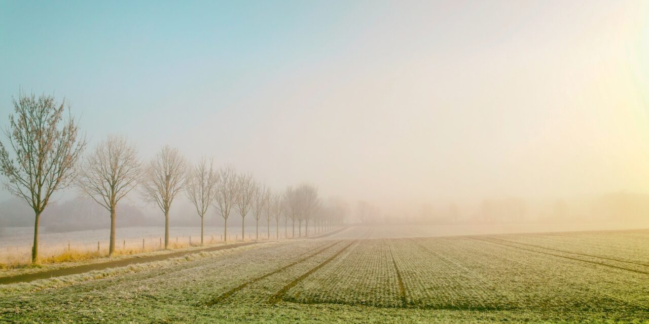 Météo agricole