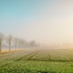Météo agricole