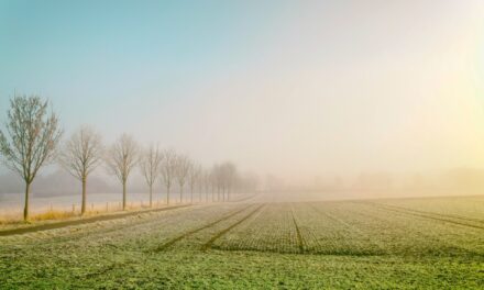 Météo agricole