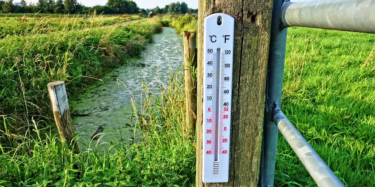 Comment choisir un bon thermomètre météo France ?