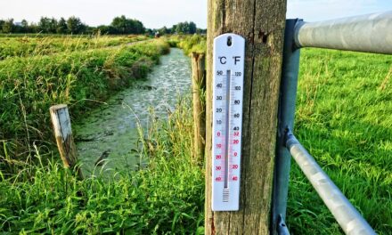 Comment choisir un bon thermomètre météo France ?